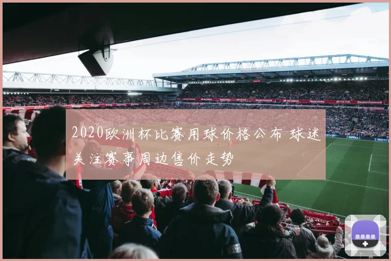 2020欧洲杯比赛用球价格公布 球迷关注赛事周边售价走势