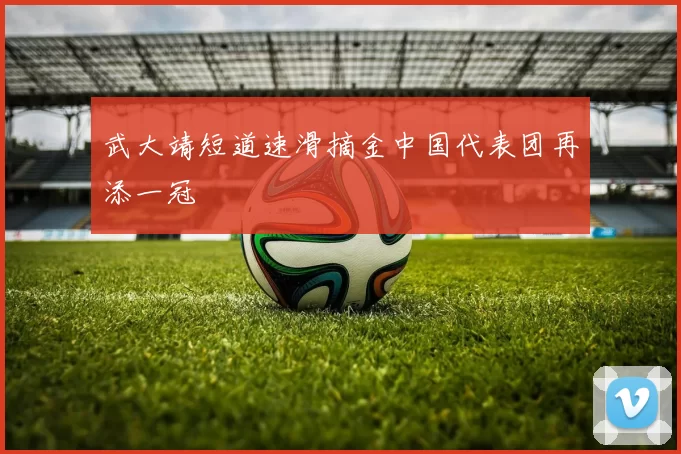 武大靖短道速滑摘金中国代表团再添一冠