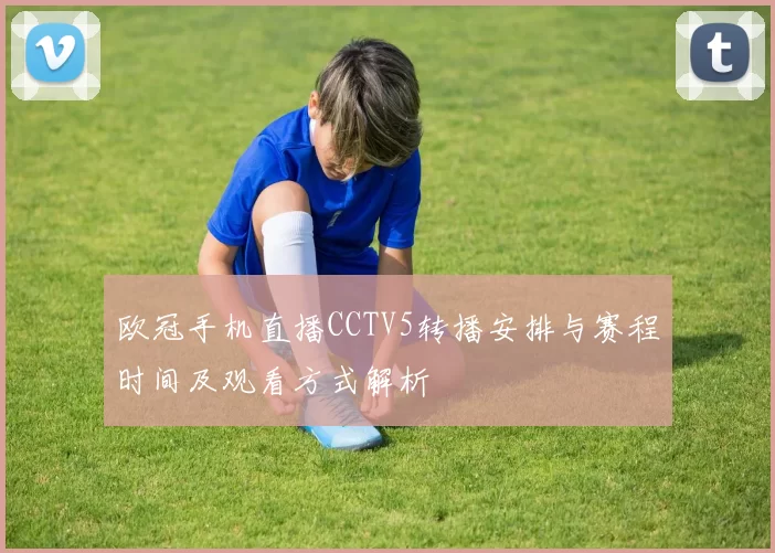 欧冠手机直播CCTV5转播安排与赛程时间及观看方式解析